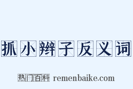 抓小辫子反义词是什么意思的图片